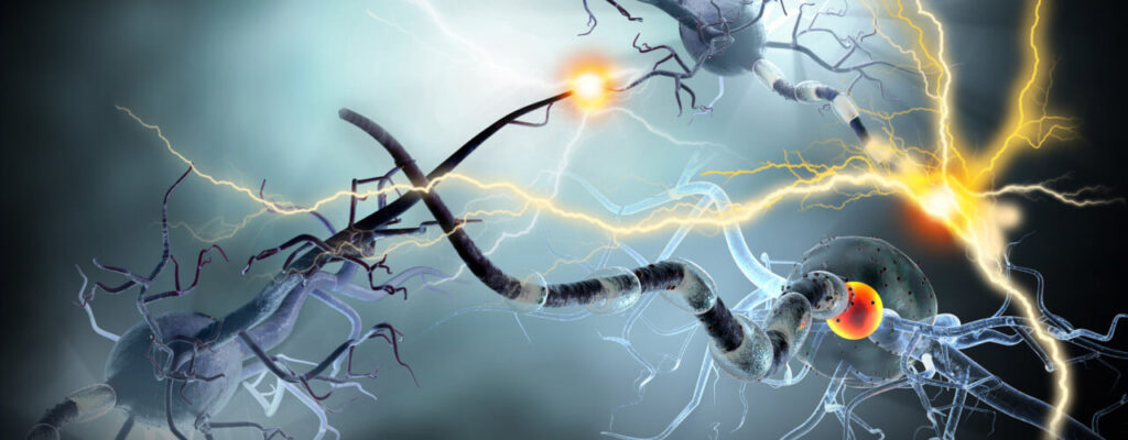 multiple sclerosis austin physical therapy